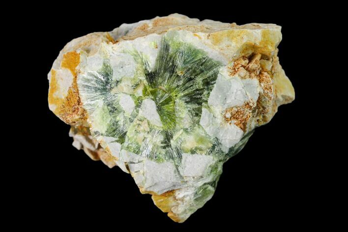 Radiating, Green Wavellite Crystal Aggregation - Arkansas #135960